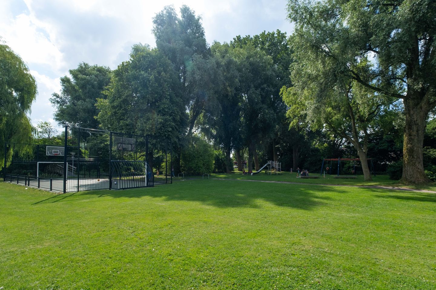 Foto 50 van Speenkruid 11