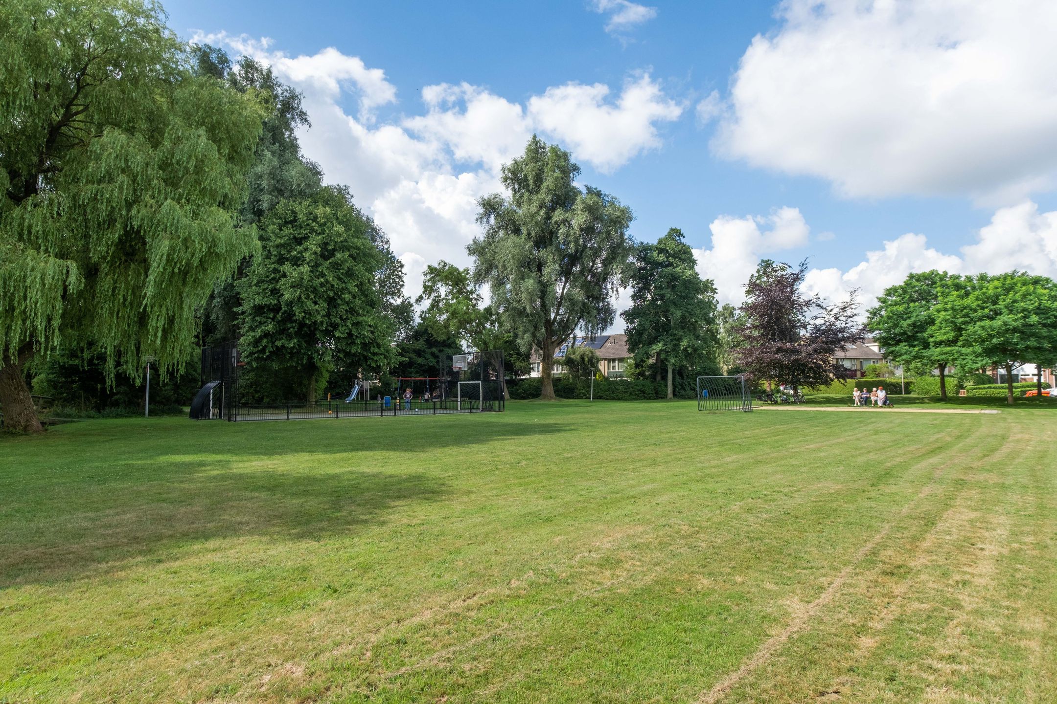 Foto 51 van Speenkruid 11