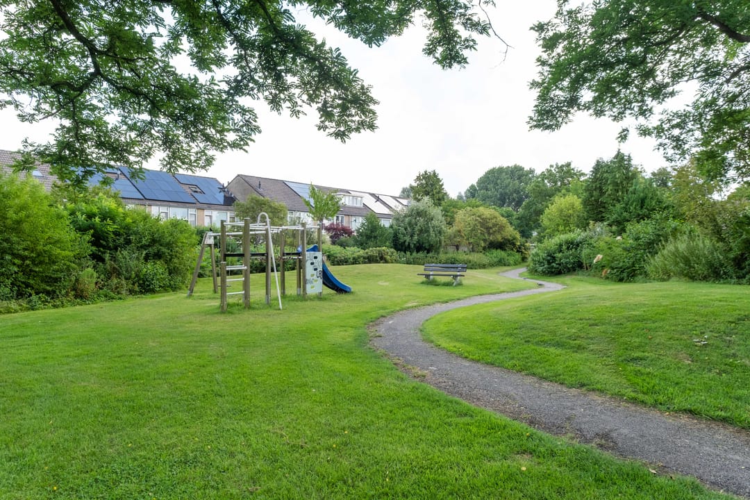 Foto 52 van Speenkruid 11