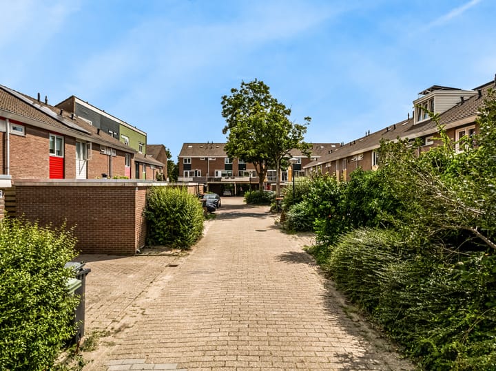 Photo 33 of Boogschutter 104