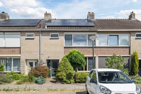 undefined main image