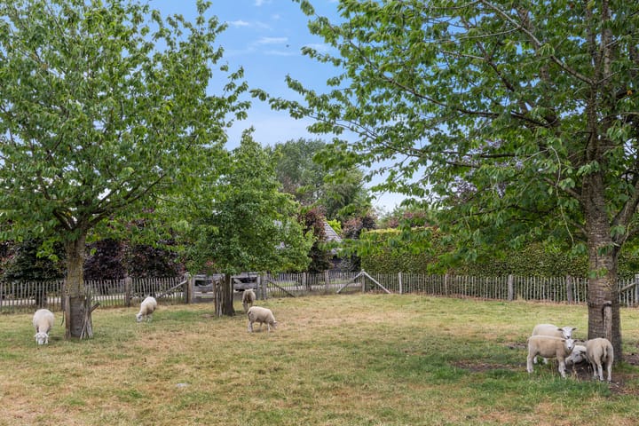 Foto 62 van Hoofdstraat 23