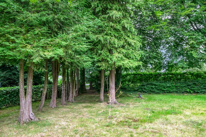 Foto 31 van Lugtenbergerweg 10