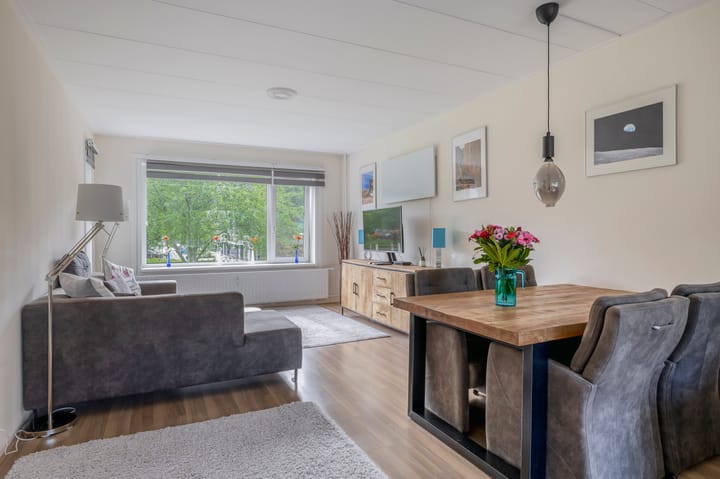 Foto 2 van Ruygeplaat 153