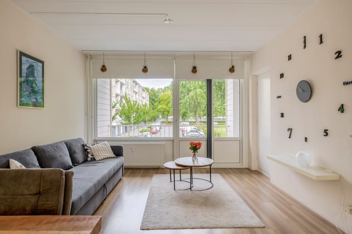 Foto 3 van Ruygeplaat 153