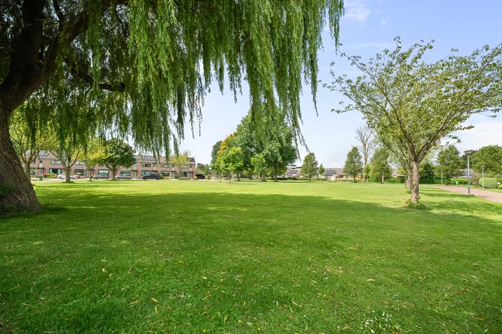 Photo 29 of Venusstraat 20