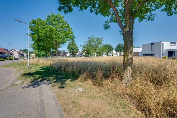 Foto 37 van Verzonken Kasteel 84