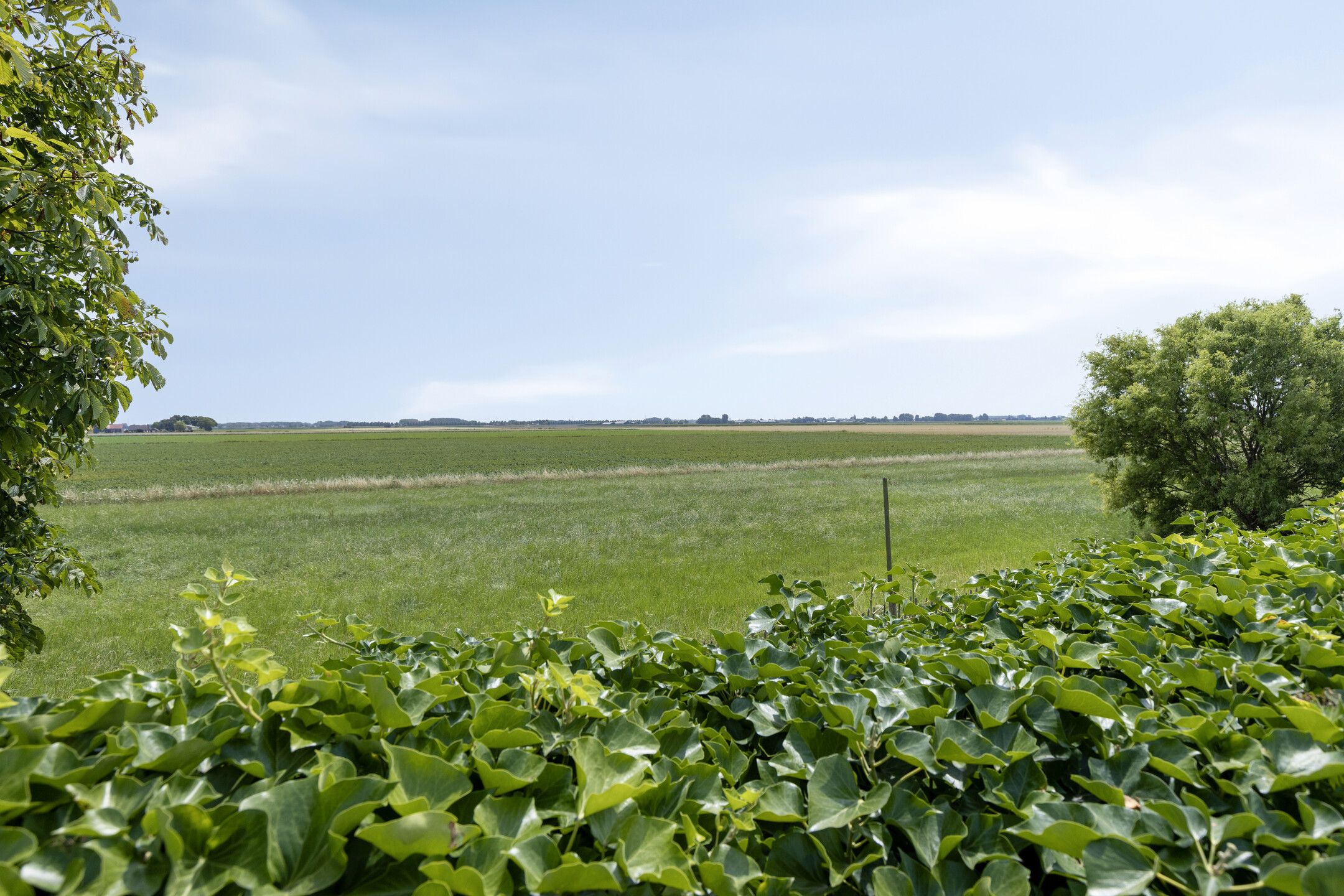 Foto 3 van Drogedijk 79