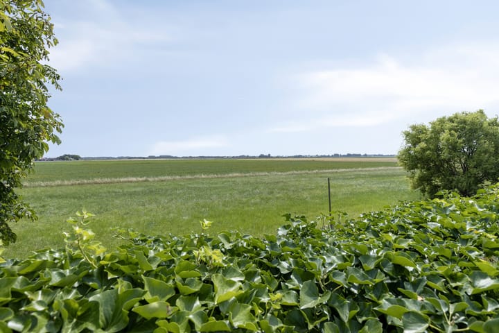 Foto 3 van Drogedijk 79