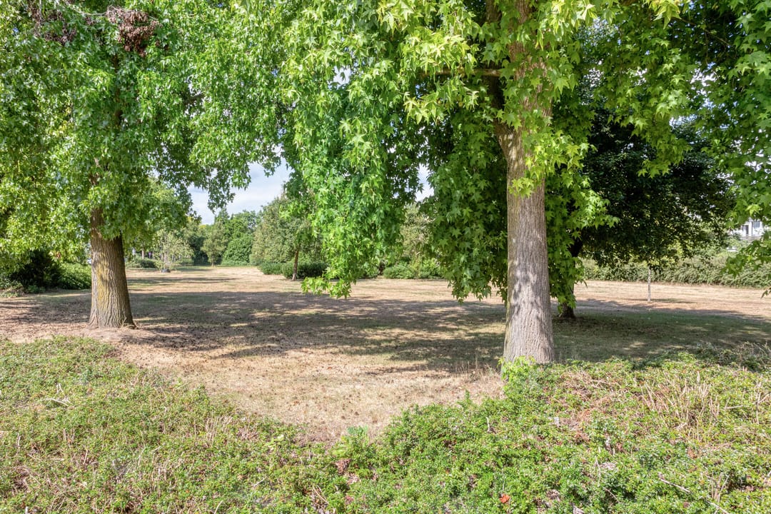 Foto 46 van Antiloopstraat 27