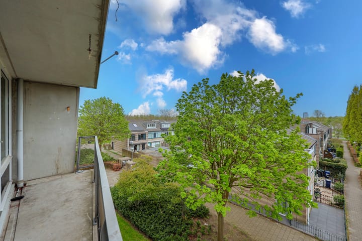 Foto 2 van Cinemadreef 210