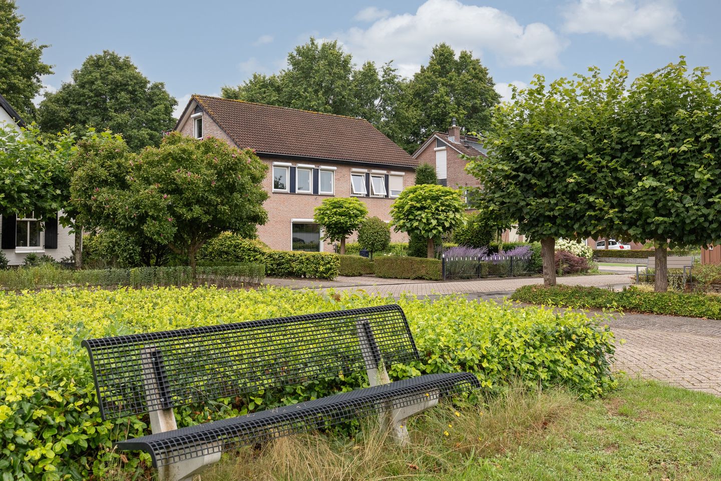 Foto 5 van de Meidoorn 5