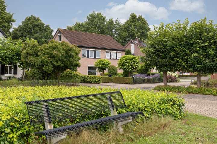 Foto 5 van de Meidoorn 5