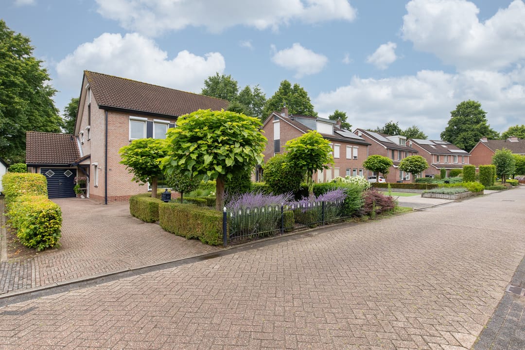 Foto 8 van de Meidoorn 5