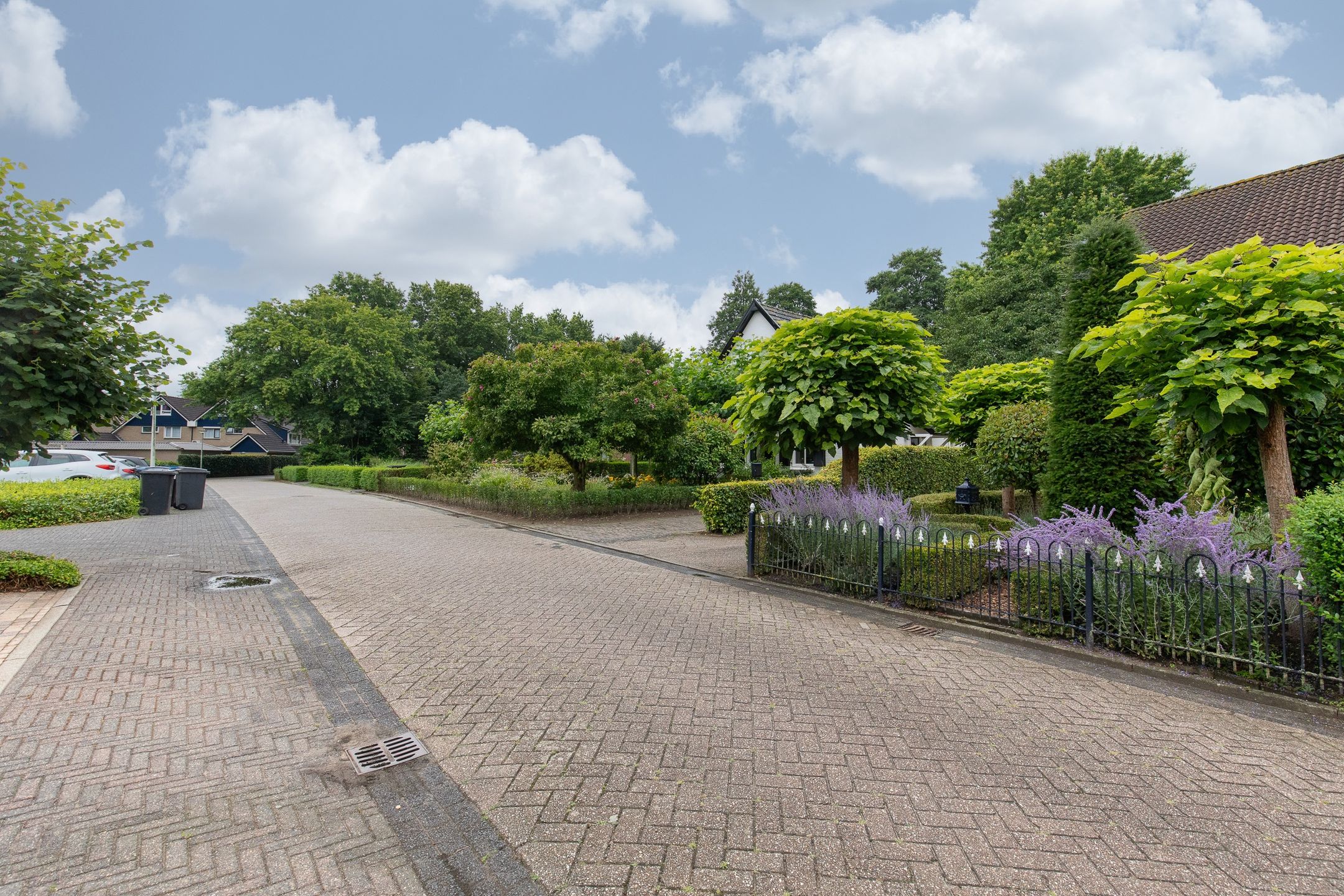 Foto 9 van de Meidoorn 5