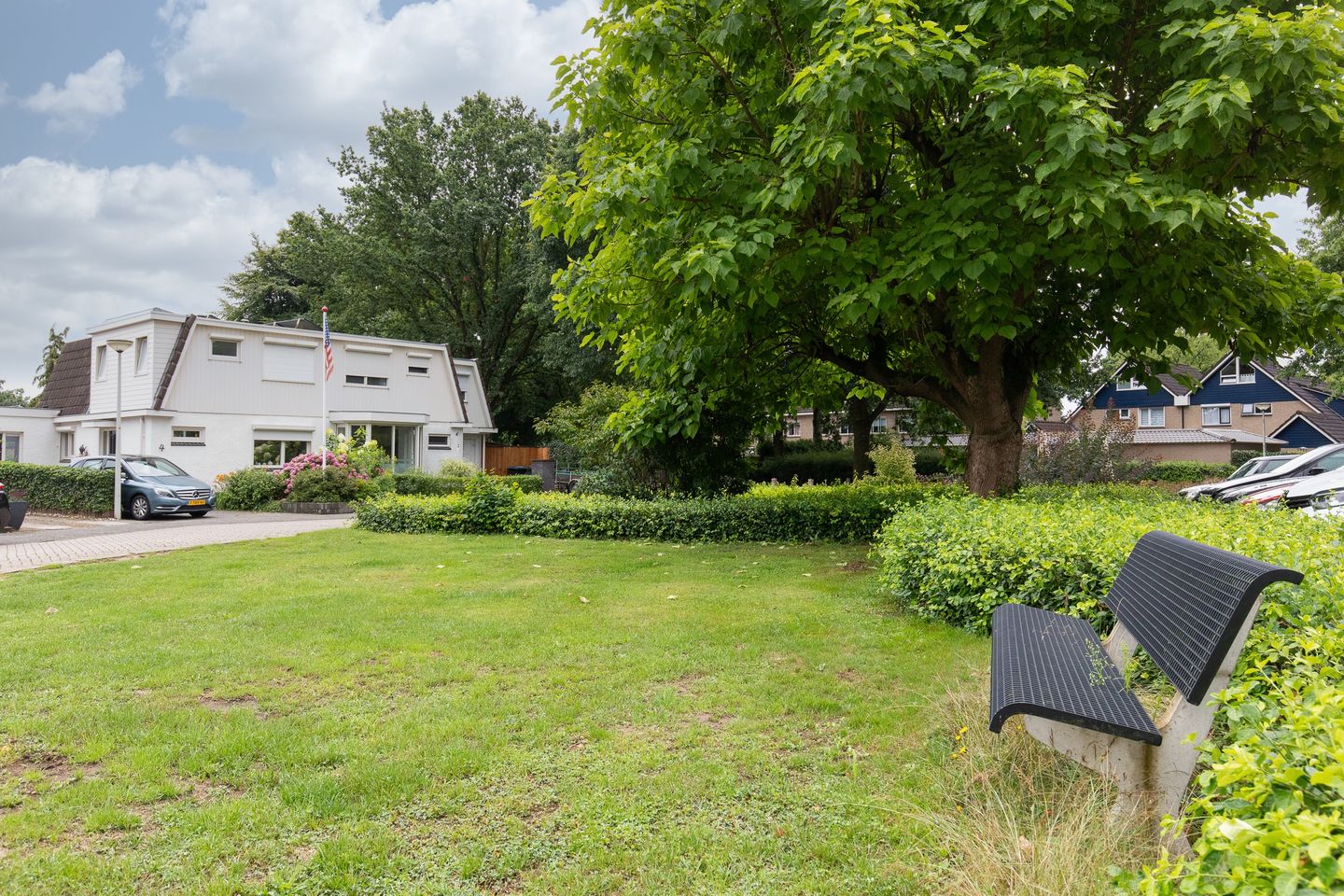 Foto 10 van de Meidoorn 5