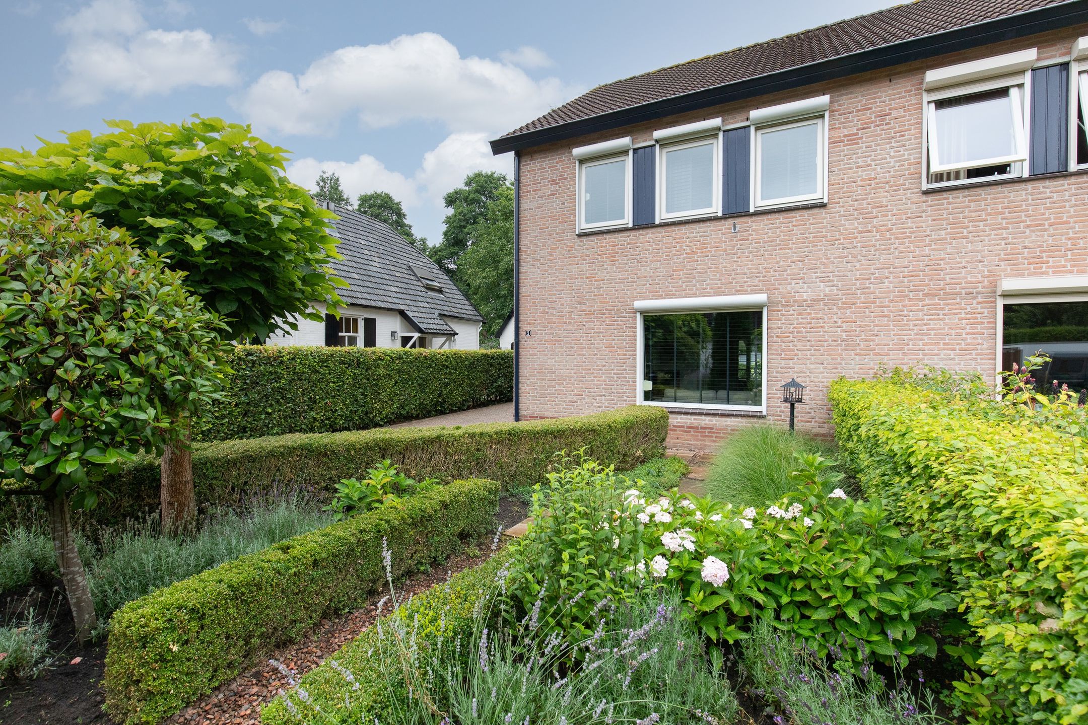 Foto 12 van de Meidoorn 5