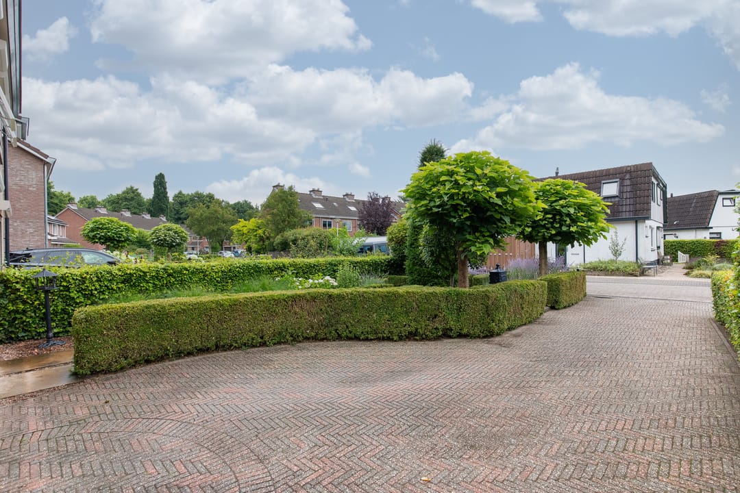 Foto 13 van de Meidoorn 5