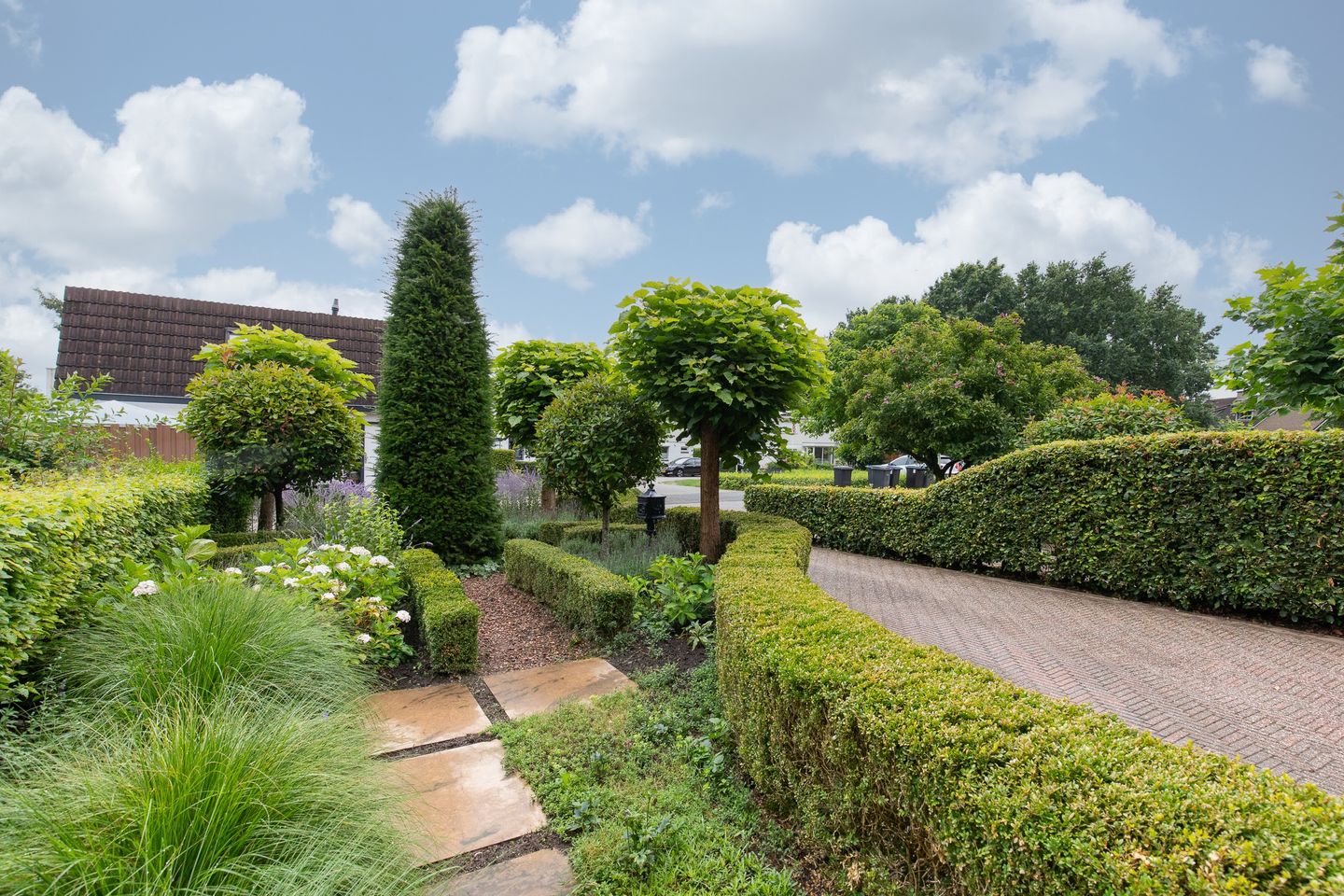 Foto 14 van de Meidoorn 5