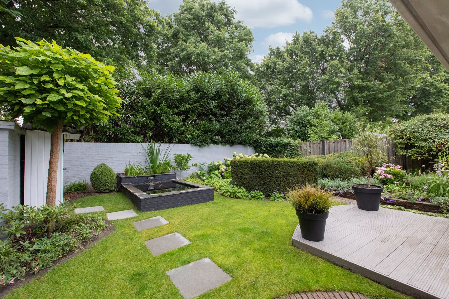 Foto 65 van de Meidoorn 5