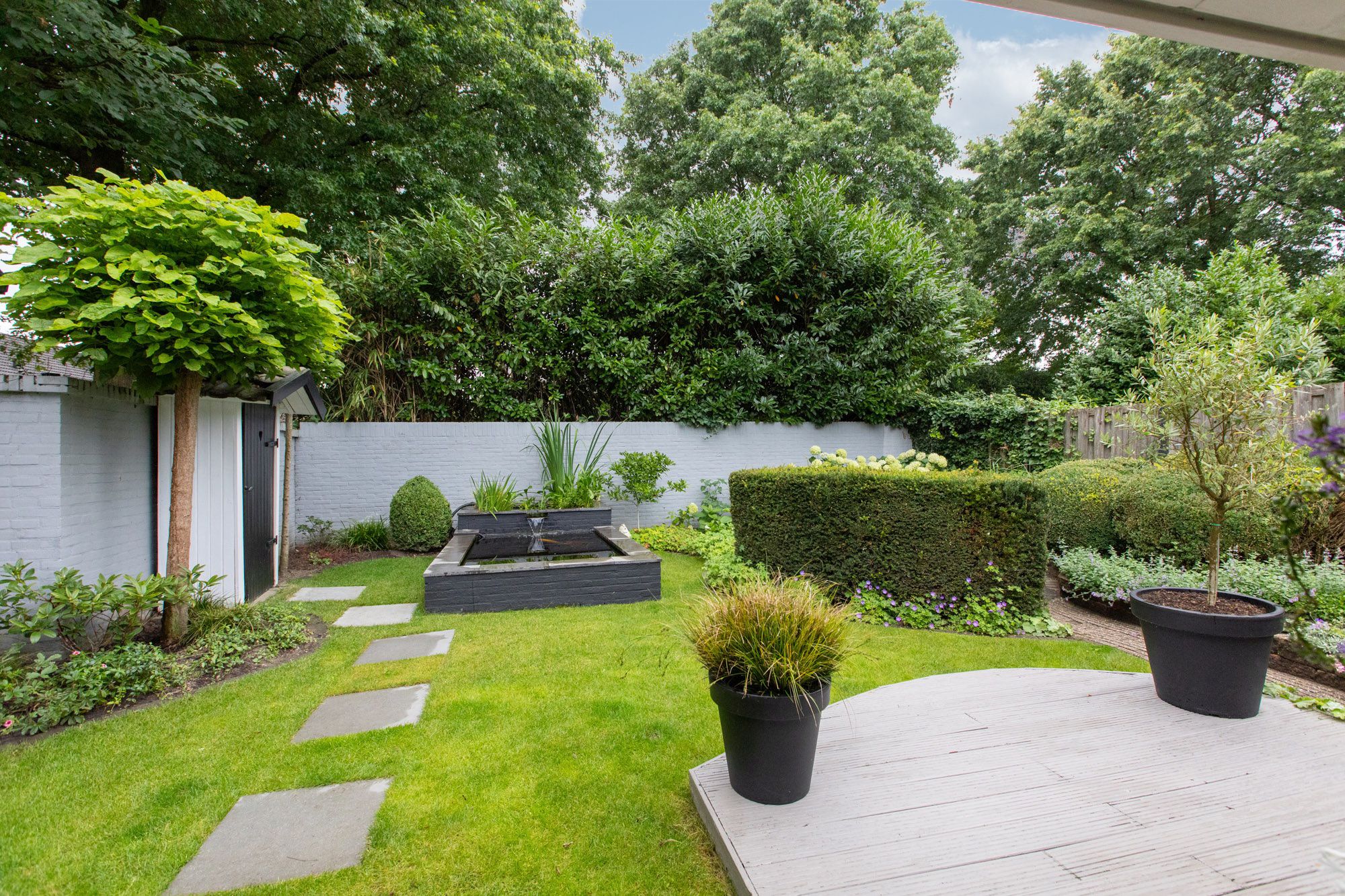 Foto 66 van de Meidoorn 5