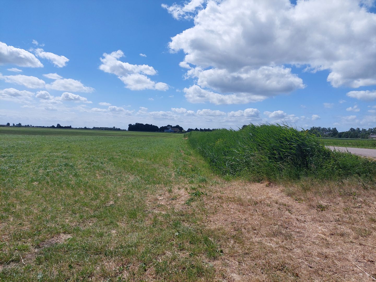 View photo 4 of Zwarteweg