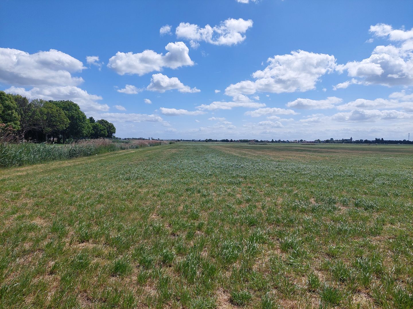 View photo 5 of Zwarteweg