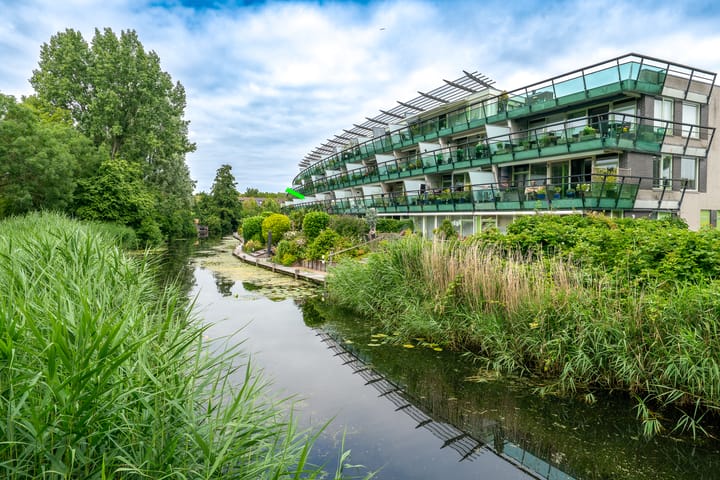 Foto 3 van Korhoenstraat 58