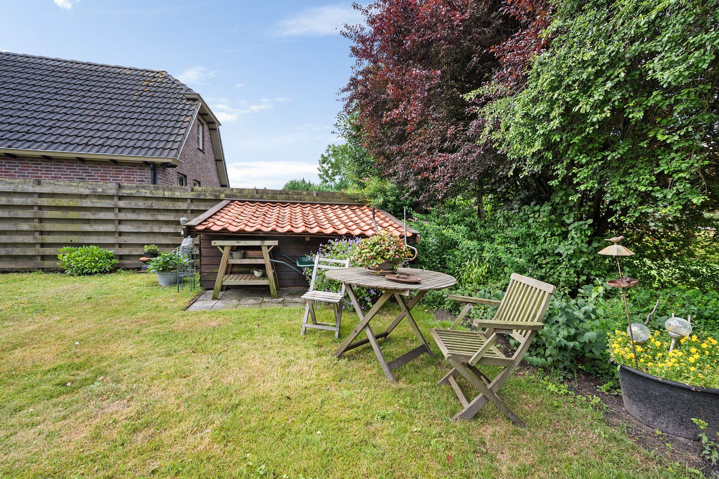 Foto 40 van Dorsstok 18