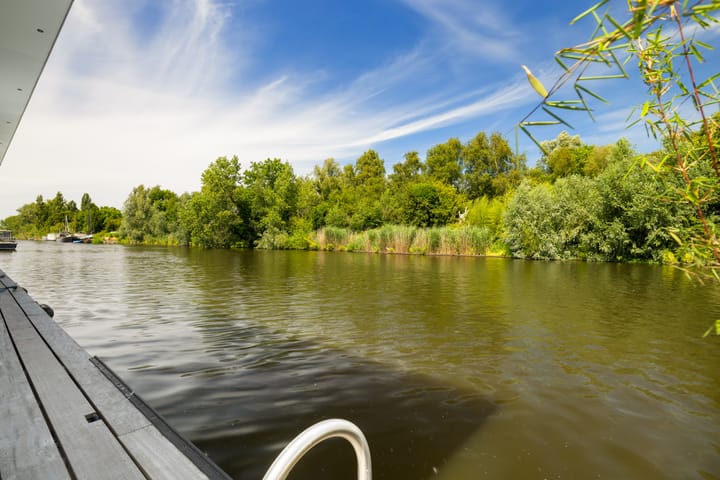 Foto 9 van Ringvaart-Nieuwemeerdijk 166