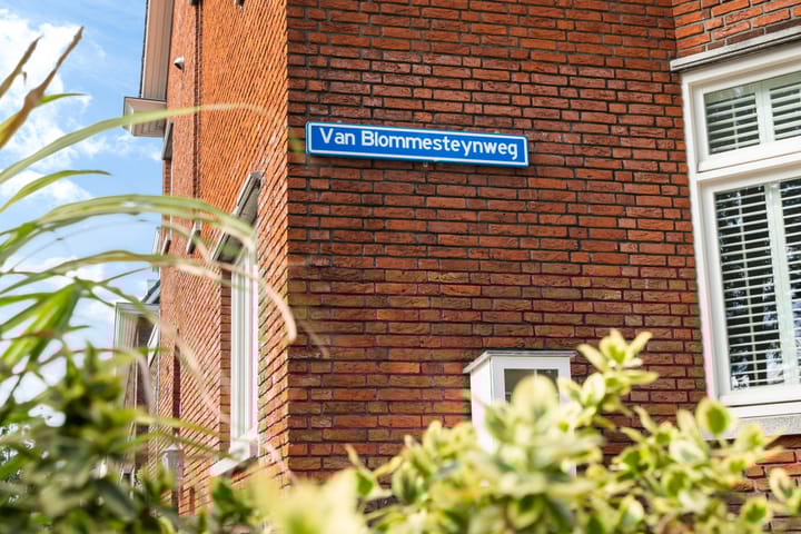 Foto 3 van Van Blommesteynweg 34