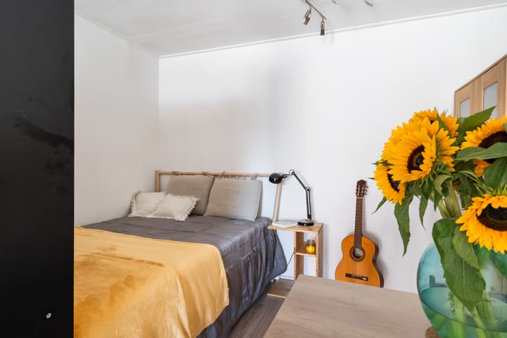 Foto 17 van Van Blommesteynweg 34