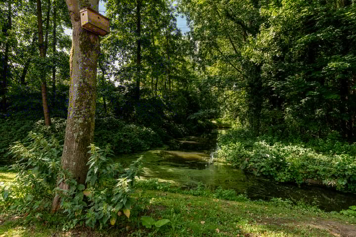 Foto 33 van Vosbergendam 13