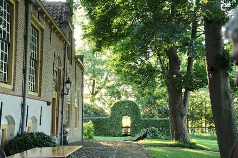 undefined main image