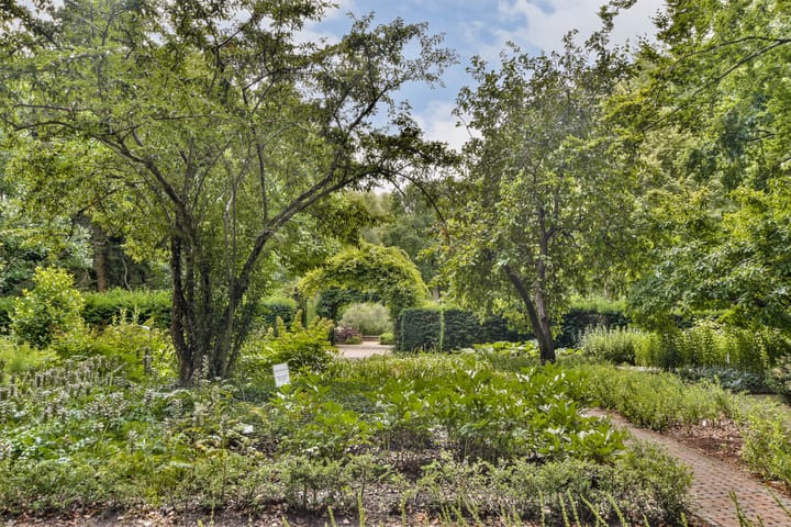 Foto 25 van Krammerstraat 23-D