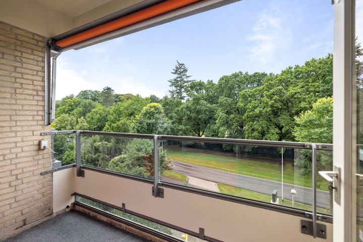 Foto 3 van Laan van Borgele 40-F312