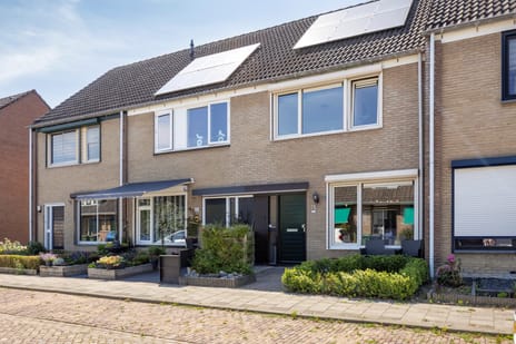 undefined main image