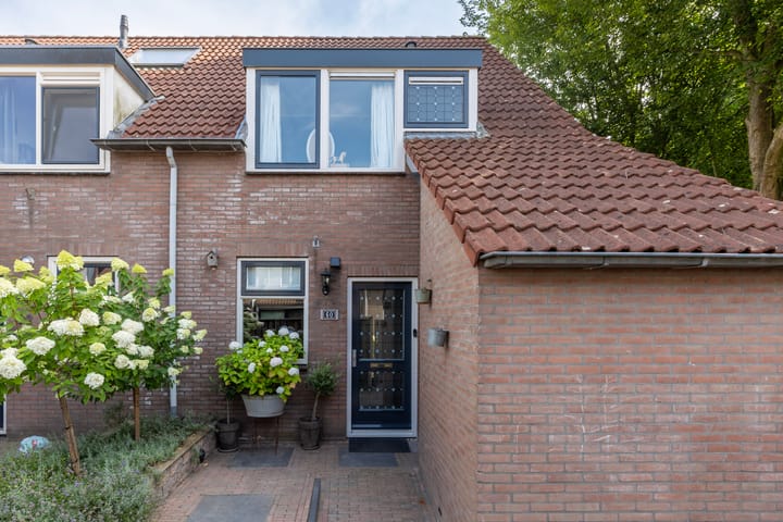 Foto 5 van Twijnen 60