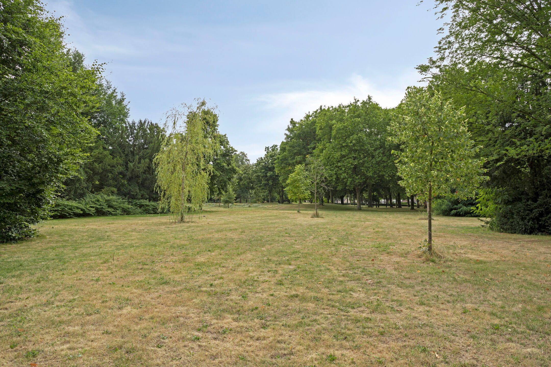 Foto 30 van Waalreseweg 65-A