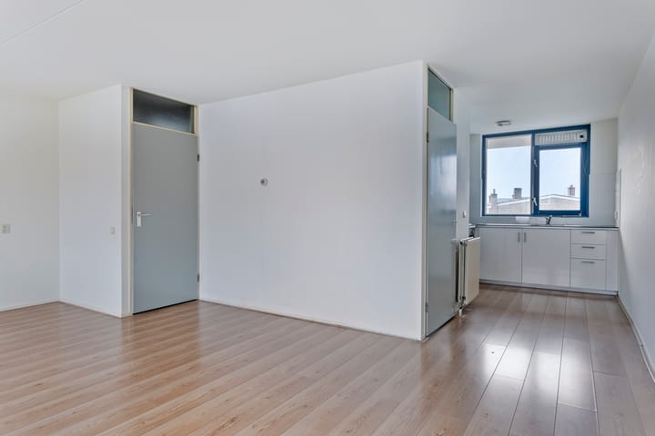 Foto 14 van Ir J.P. van Muijlwijkstraat 288