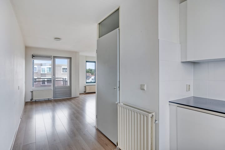 Foto 16 van Ir J.P. van Muijlwijkstraat 288