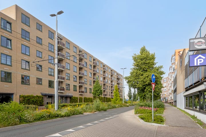 Foto 25 van Ir J.P. van Muijlwijkstraat 288