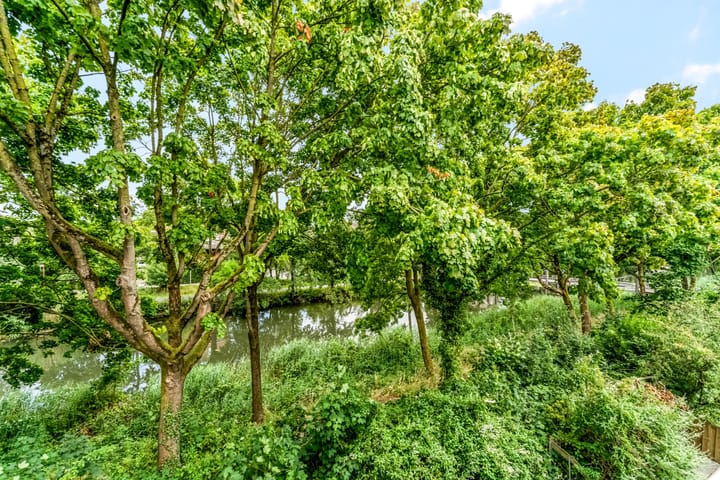 Foto 26 van Jungfrau 34