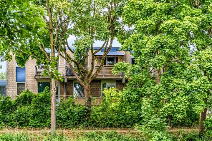 Foto 31 van Jungfrau 34