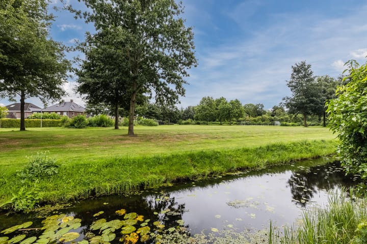 Foto 76 van De Bolster 50