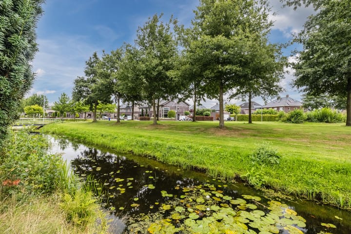 Foto 77 van De Bolster 50