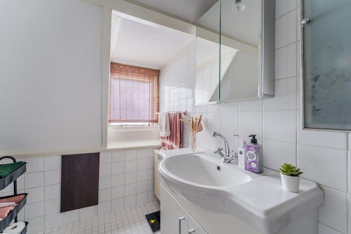 Foto 23 van Linnaeusstraat 54-BS