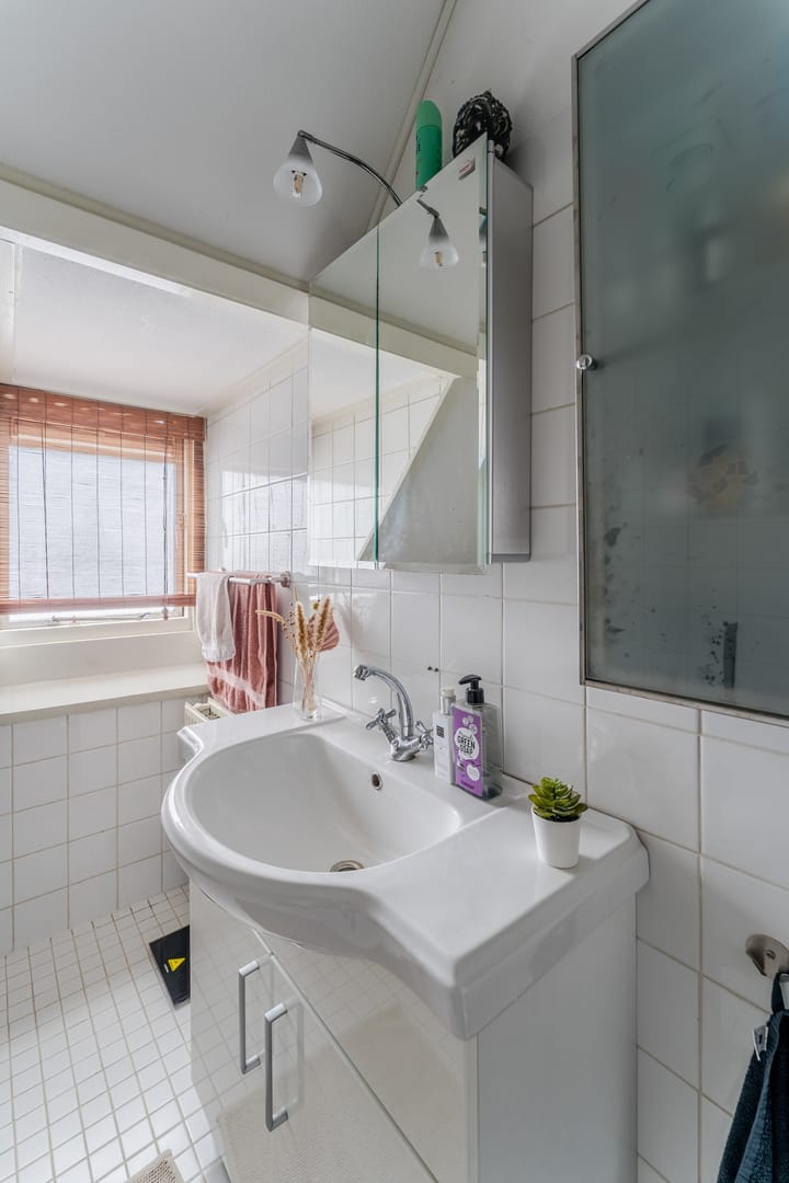 Foto 25 van Linnaeusstraat 54-BS