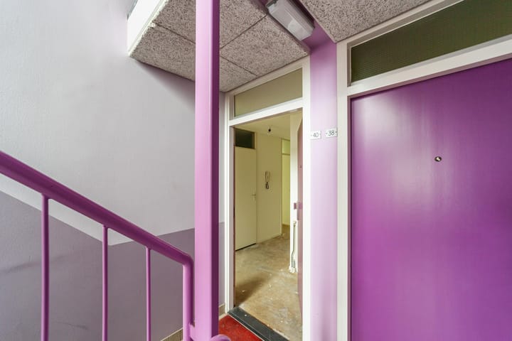 Foto 2 van Ridderspoor 40