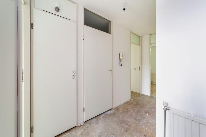 Foto 3 van Ridderspoor 40